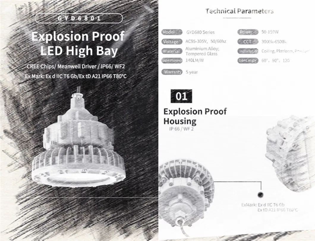 IP66 LED Hazardous Classified Flood Light Natural Gas Plant Lighting The Highest Performance for All Installations 130-140lm/W 50W 60W 80W 100W Lamp for 5 Years