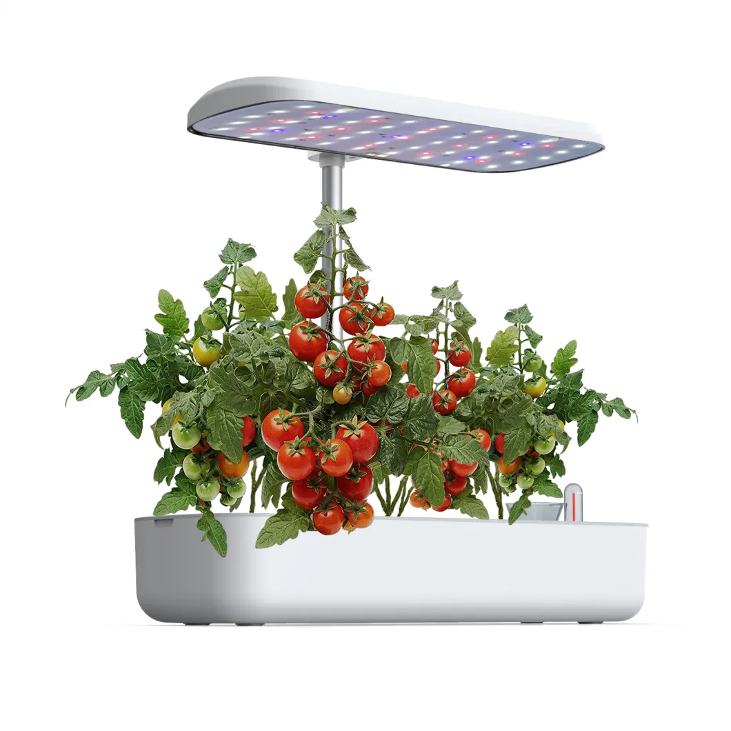 10 Pot Automatic LED Spectral Lighting Watering Plant Growing Pots Scientific Growing Smart Plant