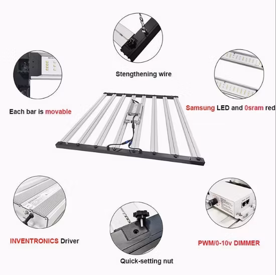 Lampes de culture LED à énergie solaire 500 W basées sur une puce Samsung UV et IR